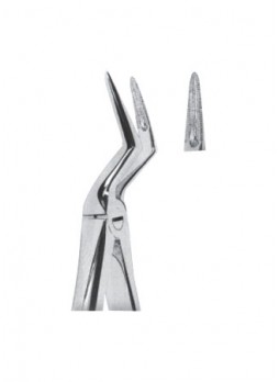 Extracting Forceps